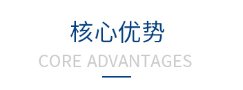 核心優(yōu)勢(shì) 核心優(yōu)勢(shì)